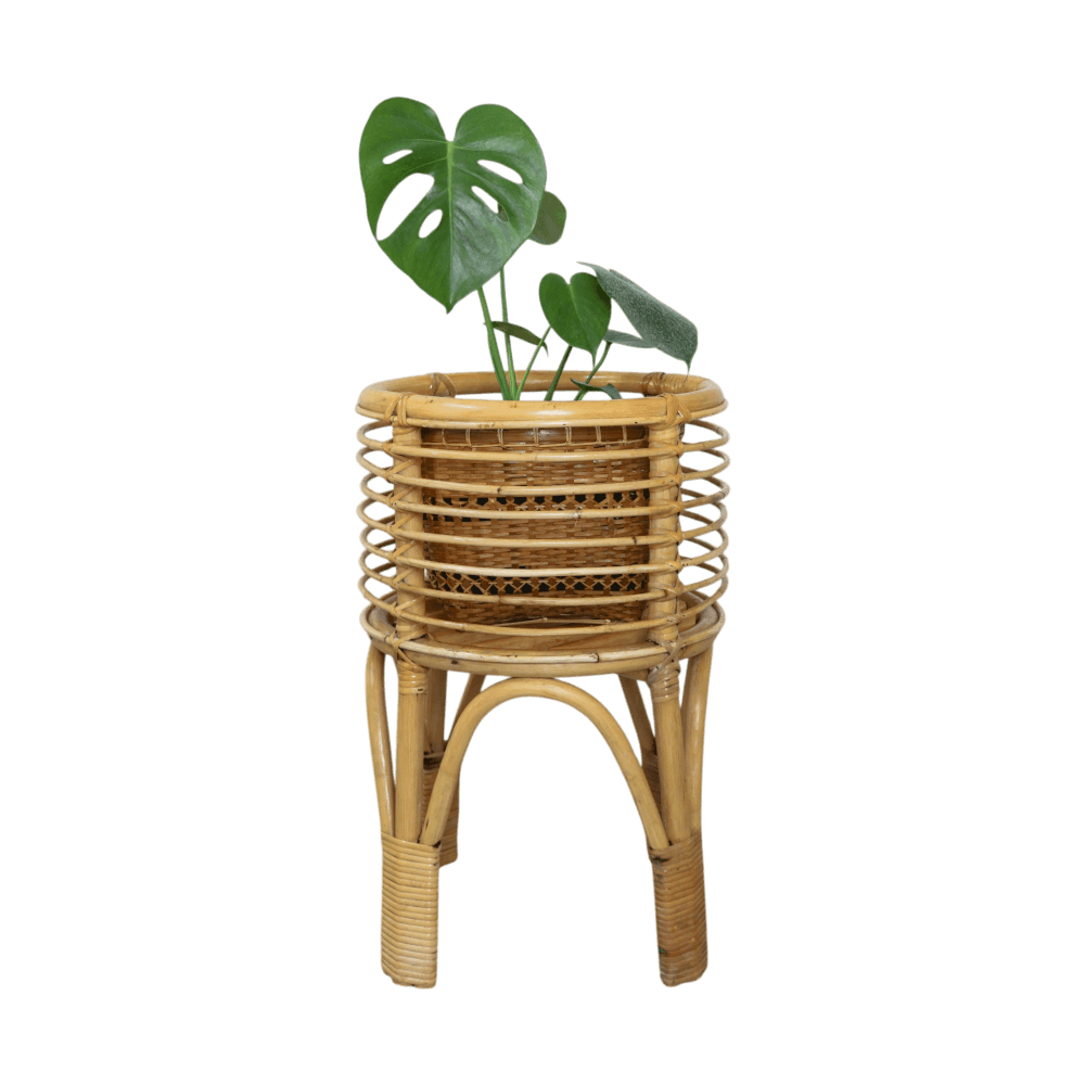 กระถางหวายแท้ พร้อมขาตั้ง PISAMAI รุ่น SIMBA PLANTSTAND สไตล์ TROPICAL ขนาด 35*35*55 ซม. สีธรรมชาติ_0